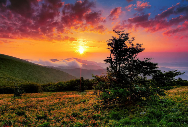 sunset, tree, mountain, grass, sky, clouds, hills