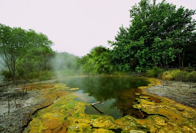 water, forest, leaves, tree, mountain, green, naturals