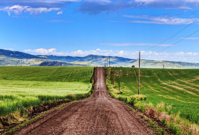 countryside, path, grass, green, sky