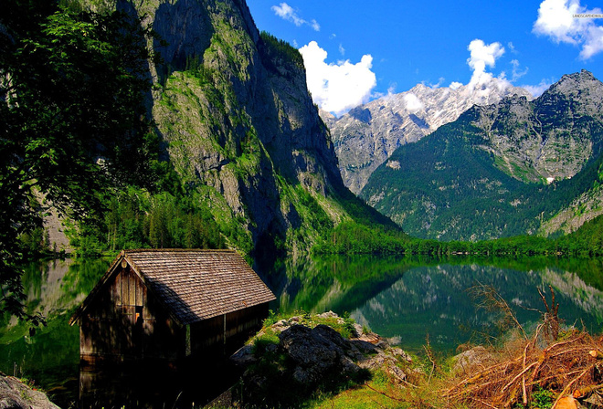 flooded, cabin, lake, water, mountain, tree