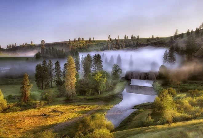 foggy, morning, bridge, river