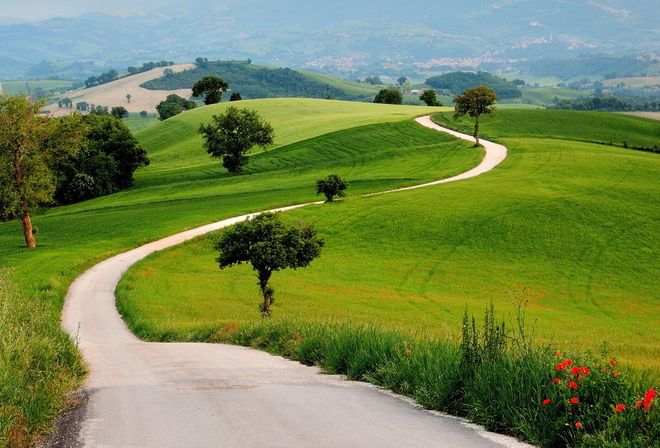 path, green, tree, grass, naturals