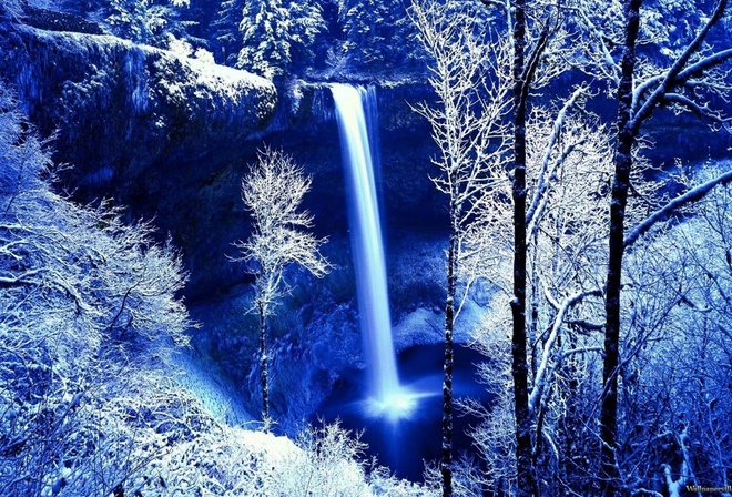 water, waterfall, winter, tree, snow