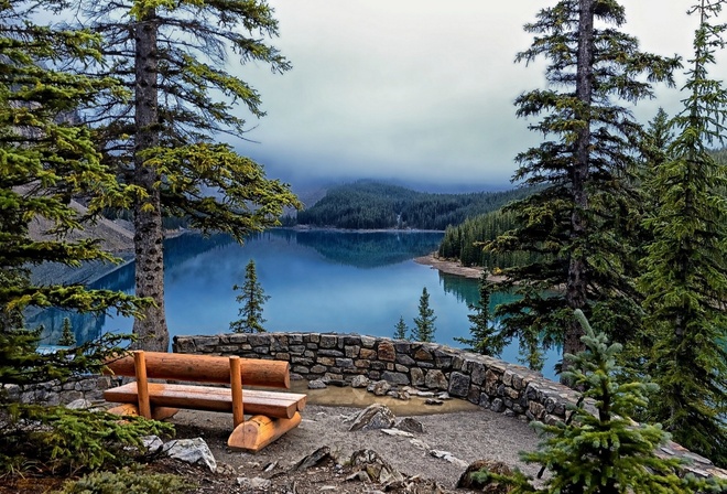 bench, lake, tree, water