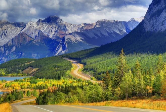 road, mountain, tree, leaves