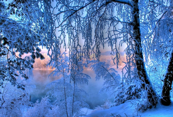 winter, snow, ice, water, river, tree