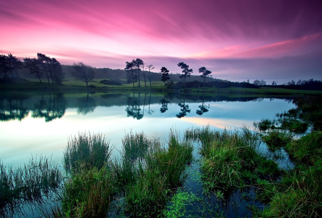 purple, sky, clouds, lake, tree