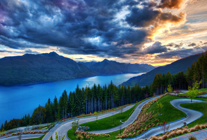 dunedin, new zealand, lake, tree, clouds