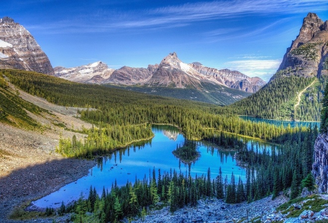 water, mountain, pine, tree