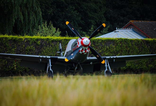 P-51D, Mustang, , , 