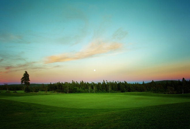 grass, fields, tree, green