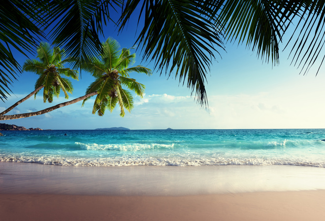 tropical, paradise, sunshine, beach, coast, sea, sky, blue, emerald, ocean, palm, summer, sand, vacation, , , , , , , , , 