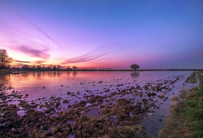 lake, muddy, purple, water