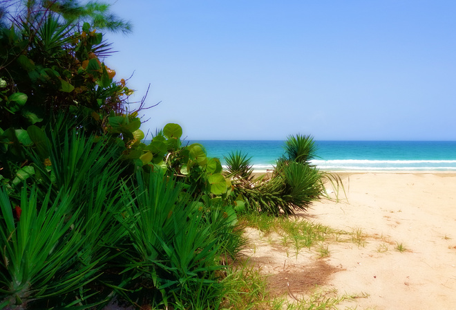 florida, Atlantic Ocean, landscape, ,  , 