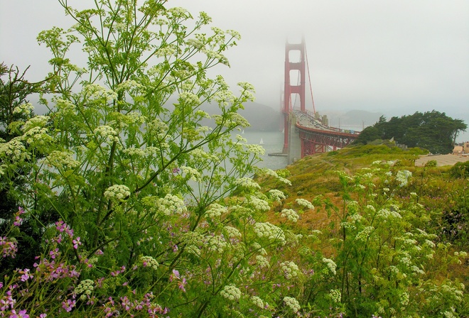 The Golden Gate Bridge, Fort Scott, State of California