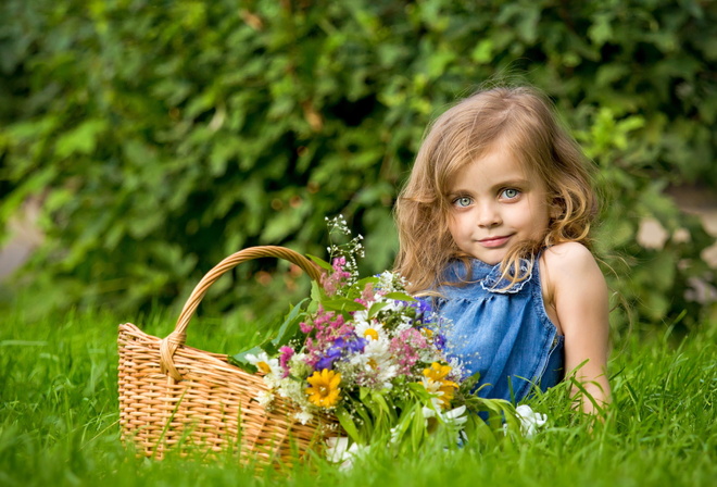 summer, Flowers, mood