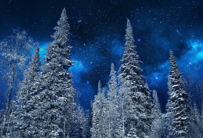 Nature, winter, snow, trees, night, sky, stars, , , , , , , , 