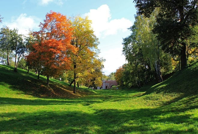 colorful, tree, grass, green