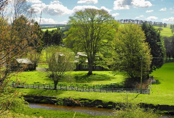 green, tree, grass, clouds