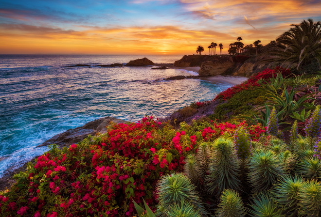 Laguna Beach, sunset, California