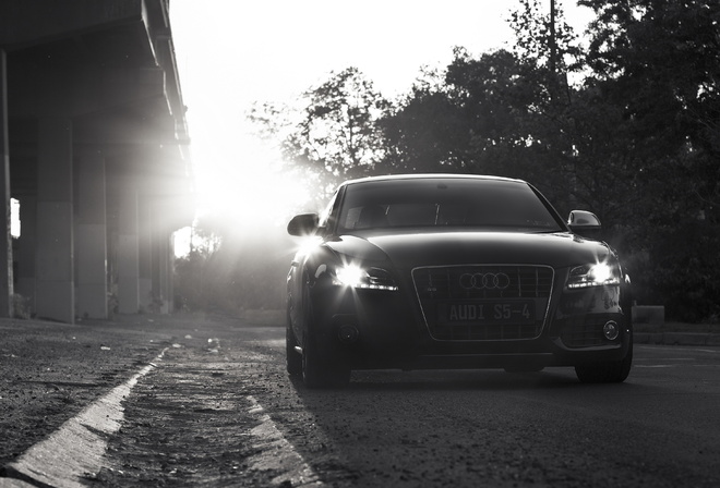 audi s5, , ,   