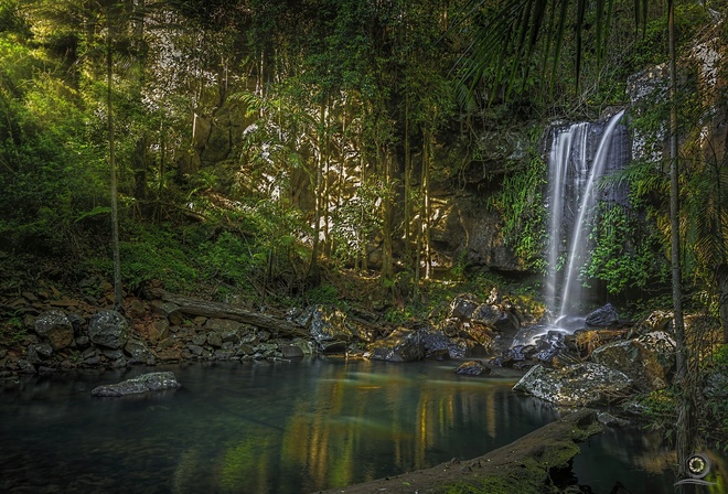 Curtis Falls,   Tamborine, , 