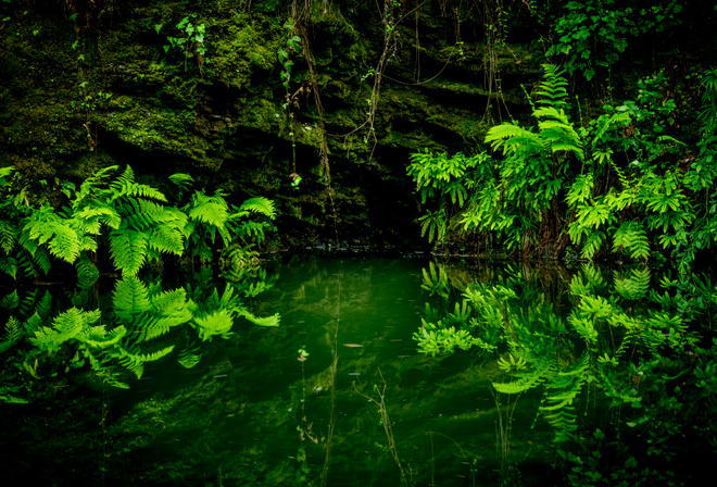 Pescadero Creek, ,    State Park, , 