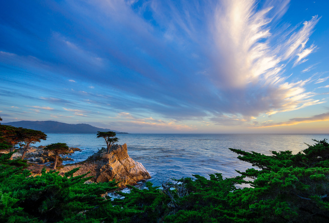 Lone Cypress, -, 