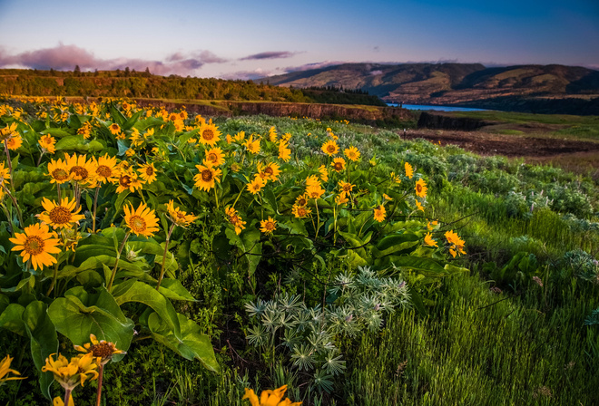 Columbia Gorge,  , , , 