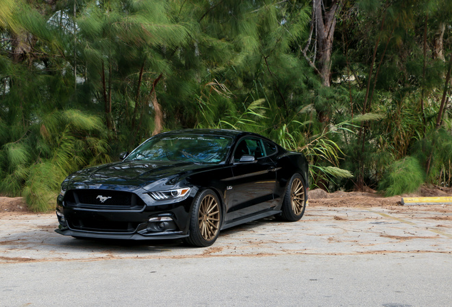 Ford, Mustang, GT, Vossen, VFS2, Satin, Bronze