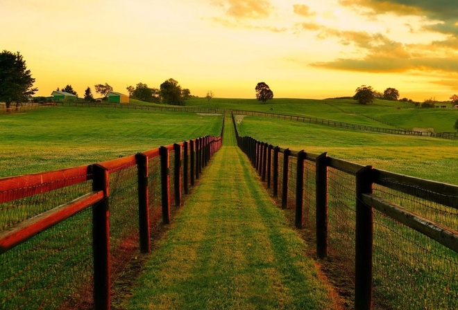 landscape, grass, fence, tree, green