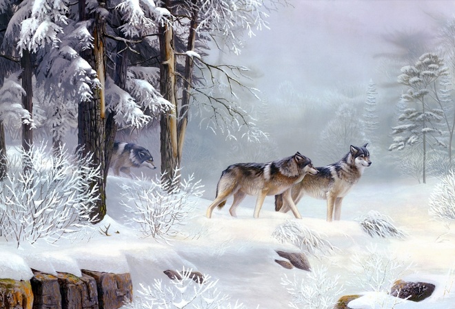 wolves, winter, snow, wild