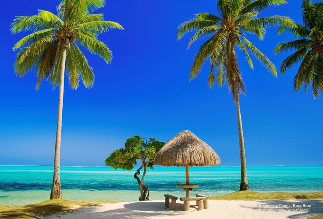 tropical, beach, tree, ocean, palm, sand