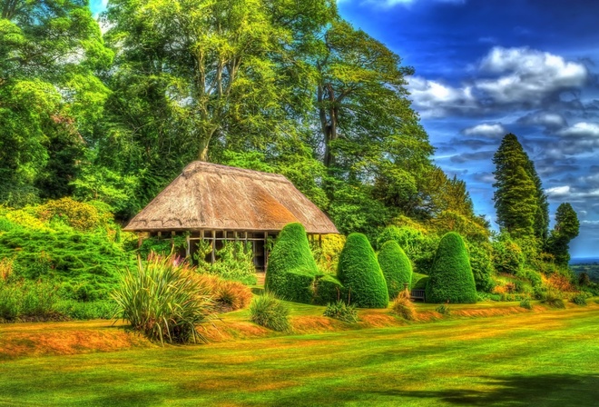 garden, grass, tree, paradise