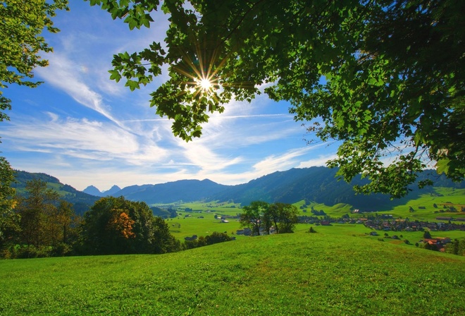 summer, valley, tree, sunlights