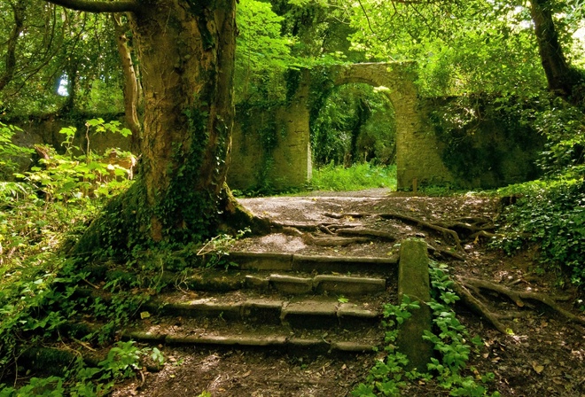 ruin, nature, stair, tree, green