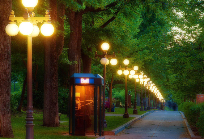 telephone, booth, park, lights