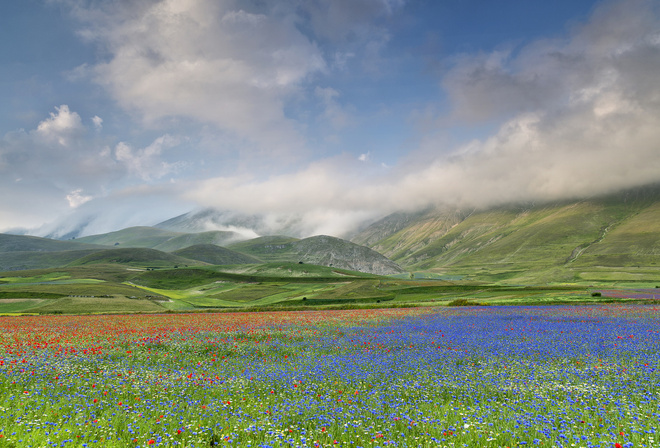 , , , , , , Umbria Castelluccio, 