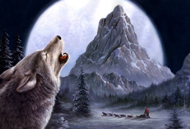 sled, wolf, mountain, moon, winter, snow, night