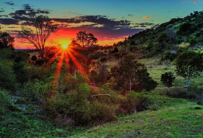 sunrise, tree, sunlight, mountain