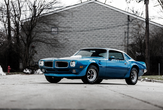 Pontiac, , 1970, Firebird