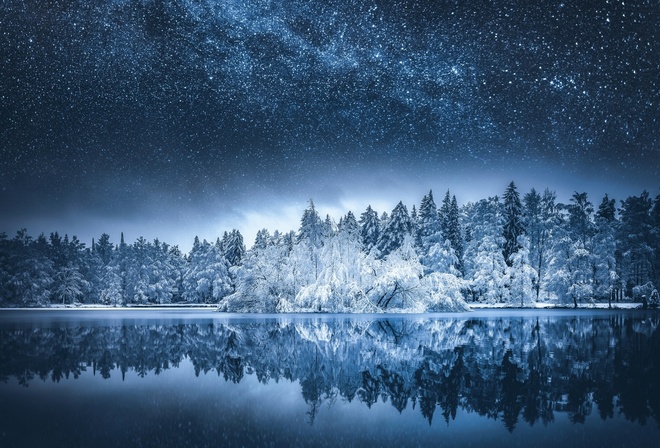 winter, lake, snow, forest