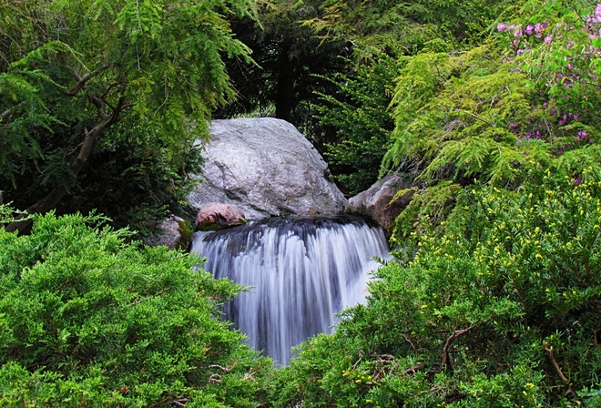 garden, waterfall, trees, water, green