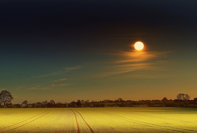 yellow, moon, field, night