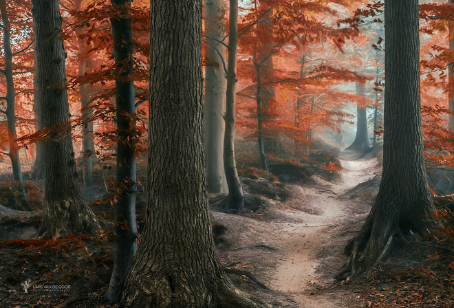 , , photographer, Lars van de Goor, , , , , 