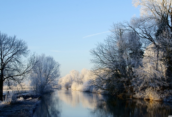 winter, trees, , forest, , , nature, , rivers