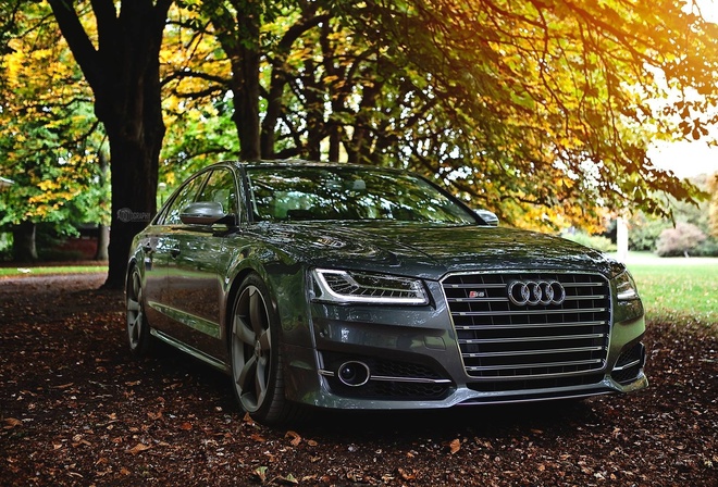 Audi, s8, , 