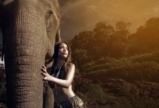 , , , , , , , elephant, jungle, girl