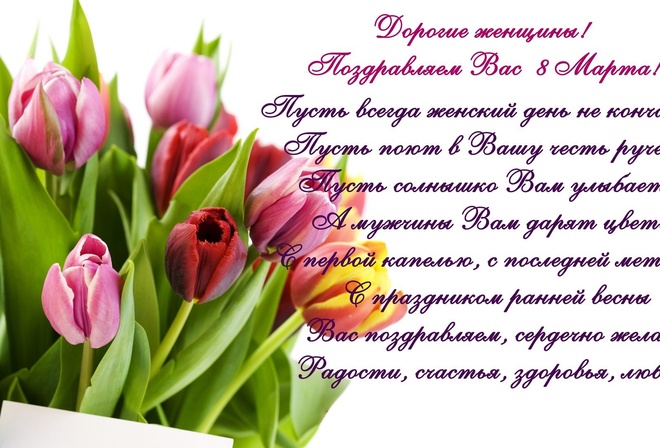 8 , tulips,  , , , spring