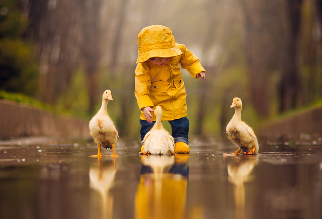 Jake Olson, , , , , , , , , , 